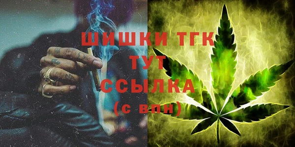 мдпв Богданович
