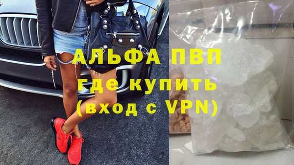 стафф Бородино