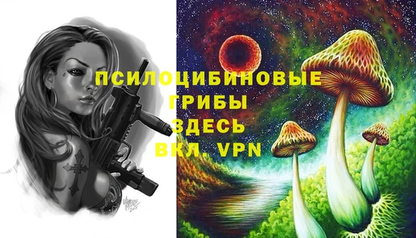 кокс Богородск