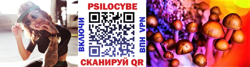 Псилоцибиновые грибы Psilocybe  наркошоп  Валуйки 